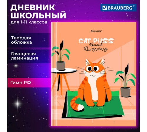 Дневник 1-11 класс 40 л., твердый, BRAUBERG, глянцевая ламинация, 