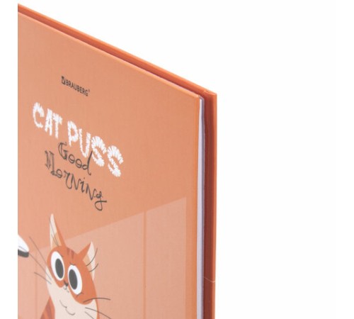 Дневник 1-11 класс 40 л., твердый, BRAUBERG, глянцевая ламинация, 