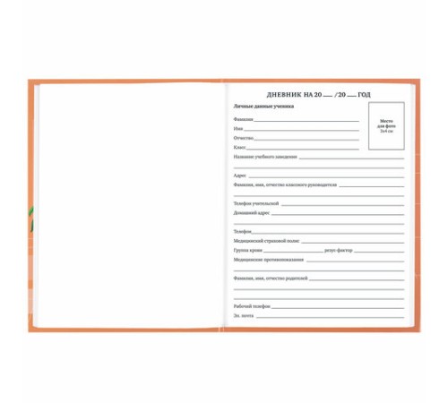 Дневник 1-11 класс 40 л., твердый, BRAUBERG, глянцевая ламинация, 