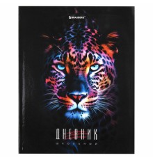 Дневник 5-11 класс 48 л., гибкая обложка, BRAUBERG, глянцевая ламинация, с подсказом, 