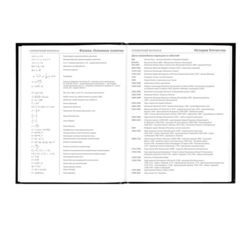 Дневник 5-11 класс 48 л., гибкая обложка, BRAUBERG, глянцевая ламинация, с подсказом, 