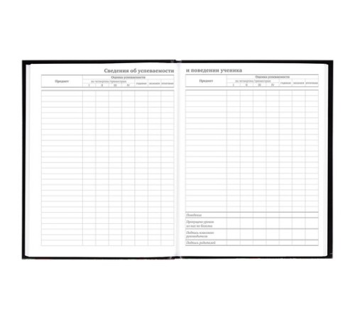 Дневник 5-11 класс 48 л., гибкая обложка, BRAUBERG, глянцевая ламинация, с подсказом, 