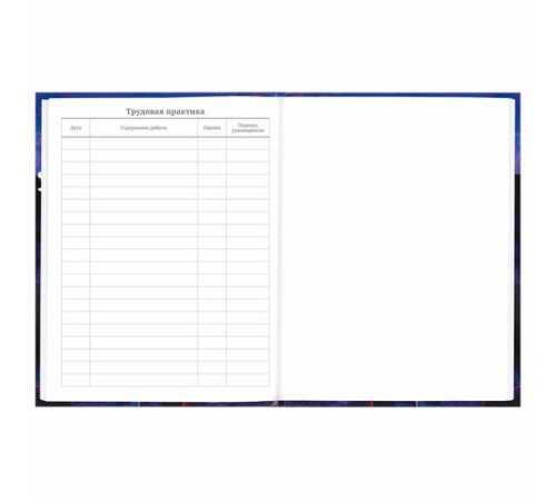 Дневник 5-11 класс 48 л., твердый, BRAUBERG, глянцевая ламинация, с подсказом, 