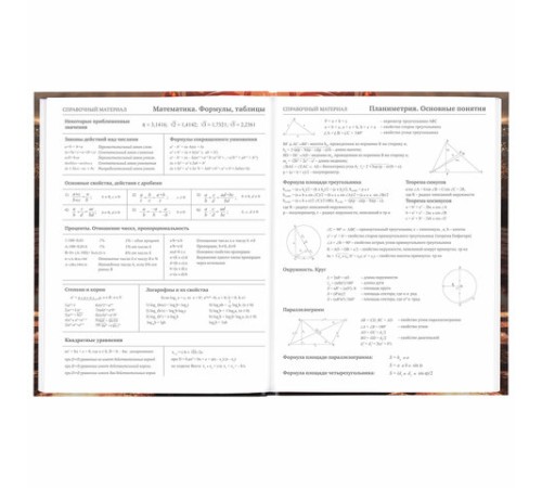 Дневник 5-11 класс 48 л., твердый, BRAUBERG, глянцевая ламинация, с подсказом, 