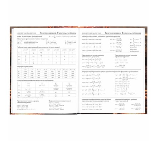 Дневник 5-11 класс 48 л., твердый, BRAUBERG, глянцевая ламинация, с подсказом, 