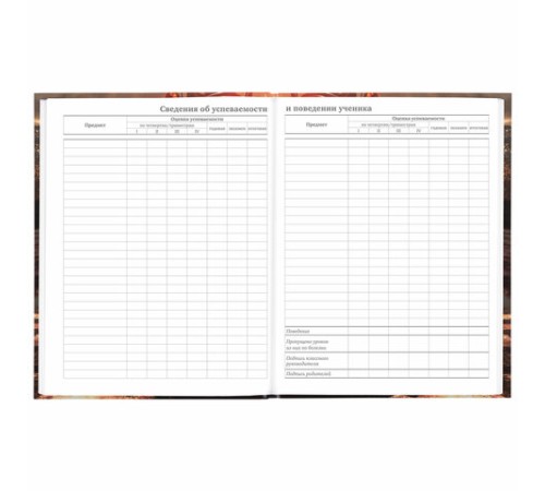 Дневник 5-11 класс 48 л., твердый, BRAUBERG, глянцевая ламинация, с подсказом, 