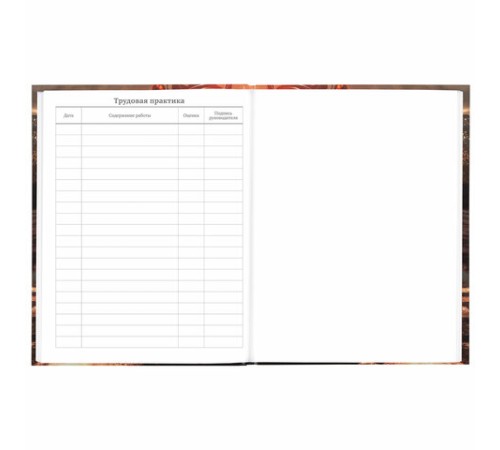 Дневник 5-11 класс 48 л., твердый, BRAUBERG, глянцевая ламинация, с подсказом, 