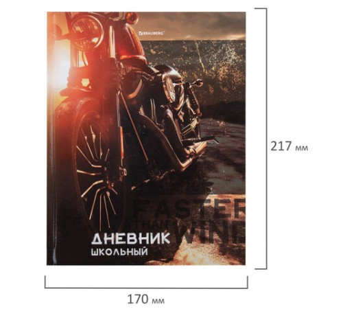 Дневник 5-11 класс 48 л., твердый, BRAUBERG, глянцевая ламинация, с подсказом, 