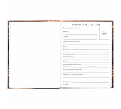 Дневник 5-11 класс 48 л., твердый, BRAUBERG, глянцевая ламинация, с подсказом, 