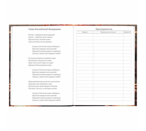 Дневник 5-11 класс 48 л., твердый, BRAUBERG, глянцевая ламинация, с подсказом, 