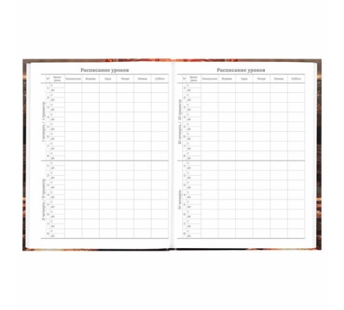 Дневник 5-11 класс 48 л., твердый, BRAUBERG, глянцевая ламинация, с подсказом, 