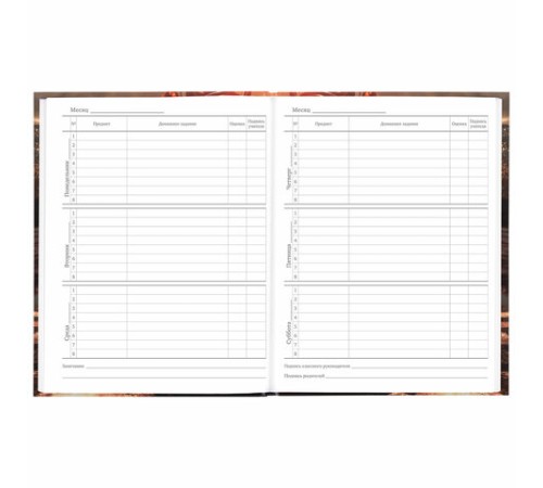 Дневник 5-11 класс 48 л., твердый, BRAUBERG, глянцевая ламинация, с подсказом, 