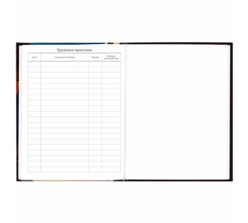 Дневник 5-11 класс 48 л., твердый, BRAUBERG, глянцевая ламинация, с подсказом, 