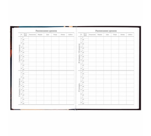 Дневник 5-11 класс 48 л., твердый, BRAUBERG, глянцевая ламинация, с подсказом, 