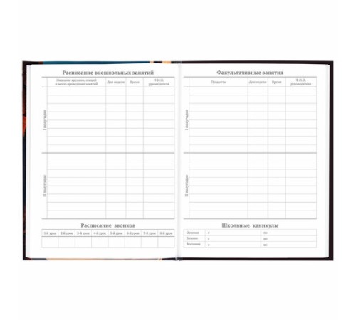 Дневник 5-11 класс 48 л., твердый, BRAUBERG, глянцевая ламинация, с подсказом, 