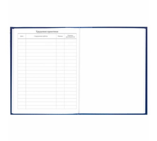 Дневник 5-11 класс 48 л., твердый, BRAUBERG, глянцевая ламинация, с подсказом, 