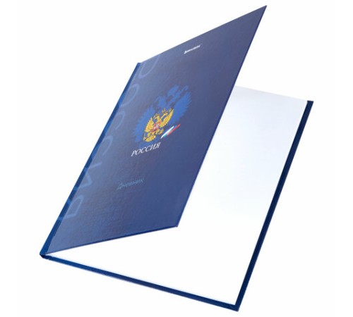 Дневник 5-11 класс 48 л., твердый, BRAUBERG, глянцевая ламинация, с подсказом, 