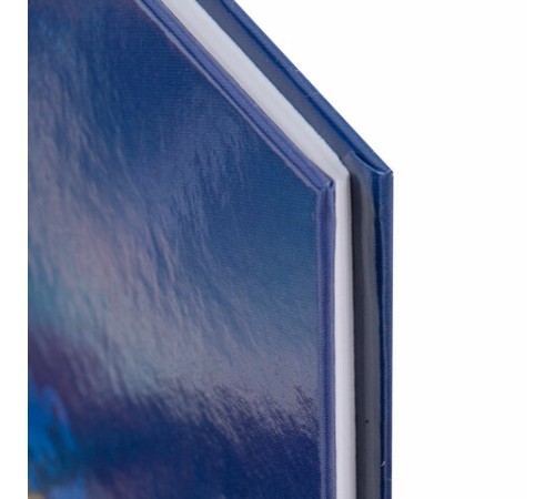 Дневник 5-11 класс 48 л., твердый, BRAUBERG, глянцевая ламинация, с подсказом, 