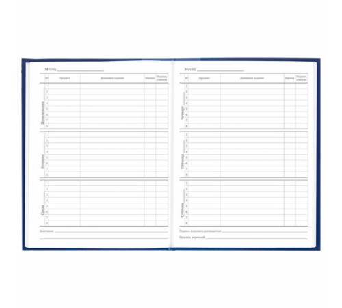 Дневник 5-11 класс 48 л., твердый, BRAUBERG, глянцевая ламинация, с подсказом, 