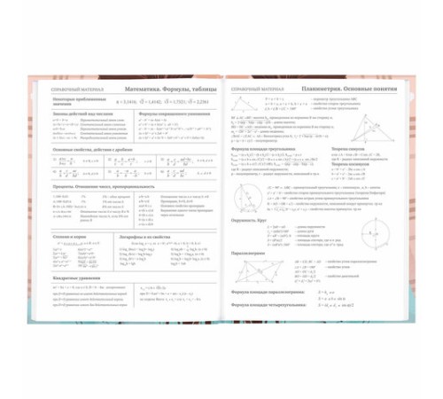 Дневник 5-11 класс 48 л., твердый, BRAUBERG, глянцевая ламинация, с подсказом, 