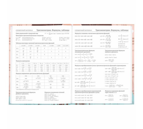 Дневник 5-11 класс 48 л., твердый, BRAUBERG, глянцевая ламинация, с подсказом, 