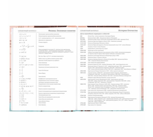 Дневник 5-11 класс 48 л., твердый, BRAUBERG, глянцевая ламинация, с подсказом, 