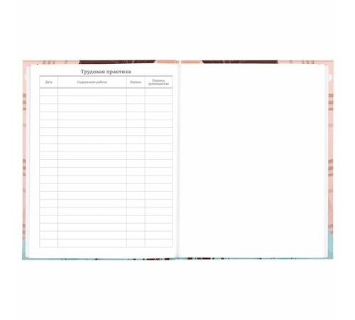 Дневник 5-11 класс 48 л., твердый, BRAUBERG, глянцевая ламинация, с подсказом, 