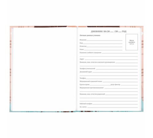 Дневник 5-11 класс 48 л., твердый, BRAUBERG, глянцевая ламинация, с подсказом, 