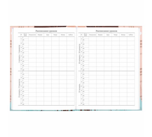 Дневник 5-11 класс 48 л., твердый, BRAUBERG, глянцевая ламинация, с подсказом, 