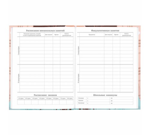 Дневник 5-11 класс 48 л., твердый, BRAUBERG, глянцевая ламинация, с подсказом, 