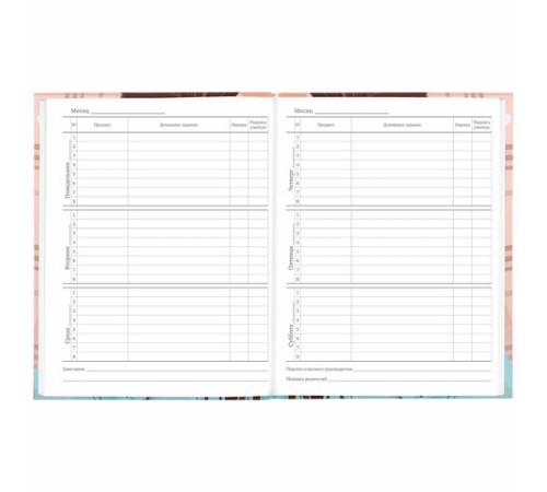 Дневник 5-11 класс 48 л., твердый, BRAUBERG, глянцевая ламинация, с подсказом, 