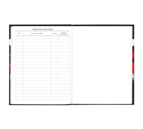 Дневник 5-11 класс 48 л., твердый, BRAUBERG, выборочный лак, с подсказом, 