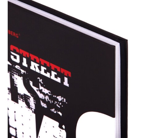 Дневник 5-11 класс 48 л., твердый, BRAUBERG, выборочный лак, с подсказом, 