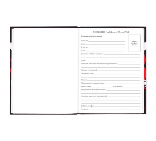 Дневник 5-11 класс 48 л., твердый, BRAUBERG, выборочный лак, с подсказом, 