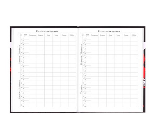 Дневник 5-11 класс 48 л., твердый, BRAUBERG, выборочный лак, с подсказом, 