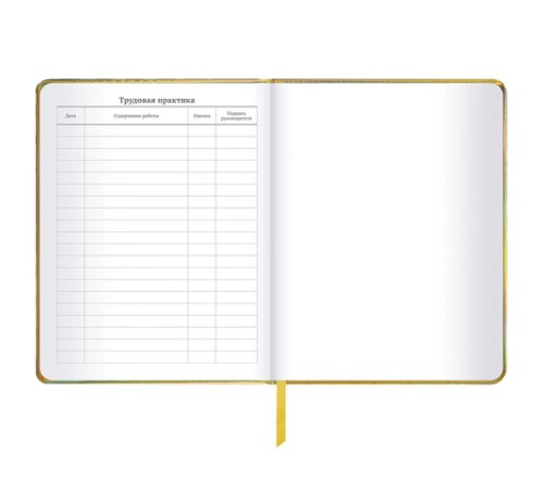 Дневник 1-11 класс 48 л., кожзам (твердая с поролоном), фольга, BRAUBERG HOLIDAY, 