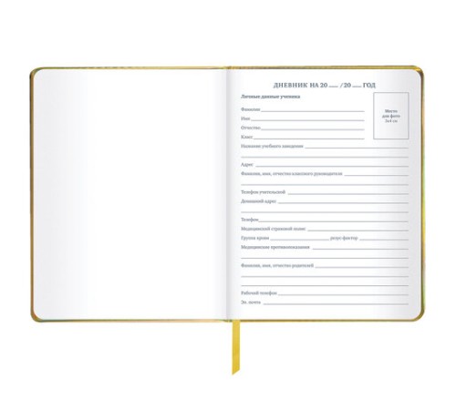 Дневник 1-11 класс 48 л., кожзам (твердая с поролоном), фольга, BRAUBERG HOLIDAY, 