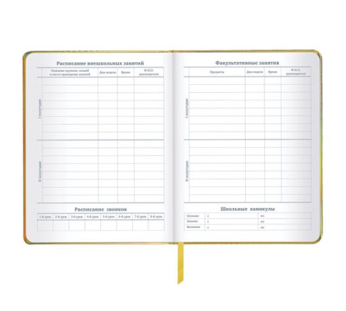 Дневник 1-11 класс 48 л., кожзам (твердая с поролоном), фольга, BRAUBERG HOLIDAY, 