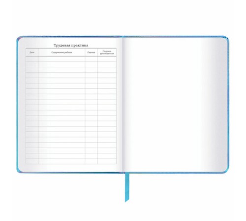 Дневник 1-11 класс 48 л., кожзам (твердая с поролоном), фольга, BRAUBERG HOLIDAY, 