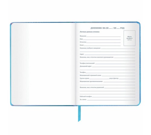 Дневник 1-11 класс 48 л., кожзам (твердая с поролоном), фольга, BRAUBERG HOLIDAY, 