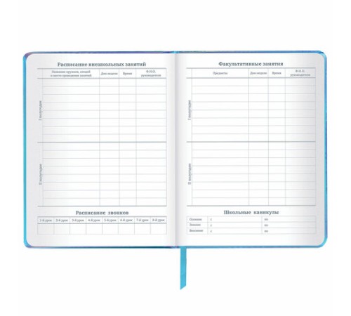 Дневник 1-11 класс 48 л., кожзам (твердая с поролоном), фольга, BRAUBERG HOLIDAY, 