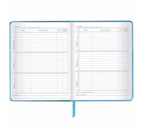 Дневник 1-11 класс 48 л., кожзам (твердая с поролоном), фольга, BRAUBERG HOLIDAY, 