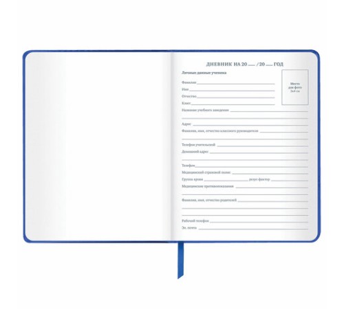 Дневник 1-11 класс 48 л., кожзам (твердая с поролоном), фольга, BRAUBERG HOLIDAY, 