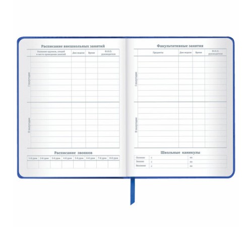 Дневник 1-11 класс 48 л., кожзам (твердая с поролоном), фольга, BRAUBERG HOLIDAY, 