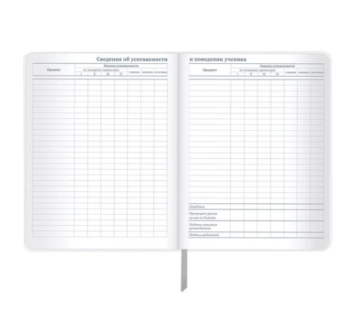 Дневник 1-11 класс 48 л., кожзам (гибкая), печать, фольга, BRAUBERG, 