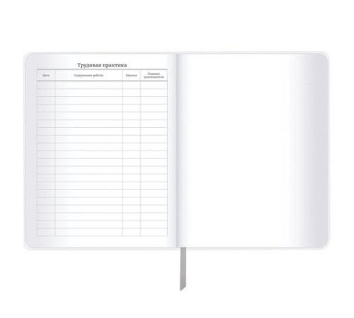 Дневник 1-11 класс 48 л., кожзам (гибкая), печать, фольга, BRAUBERG, 