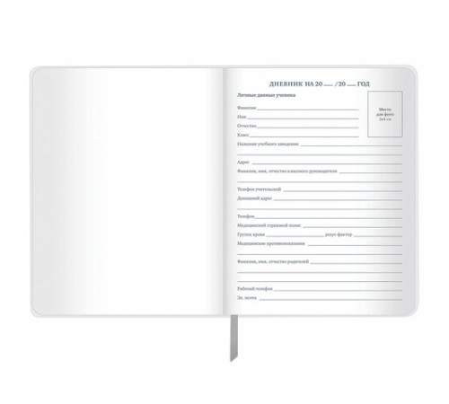 Дневник 1-11 класс 48 л., кожзам (гибкая), печать, фольга, BRAUBERG, 