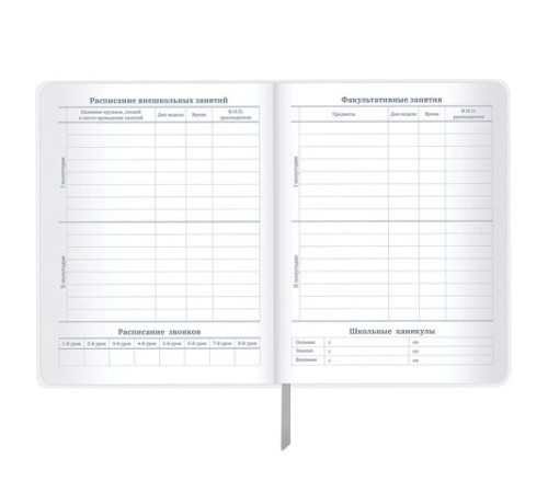 Дневник 1-11 класс 48 л., кожзам (гибкая), печать, фольга, BRAUBERG, 