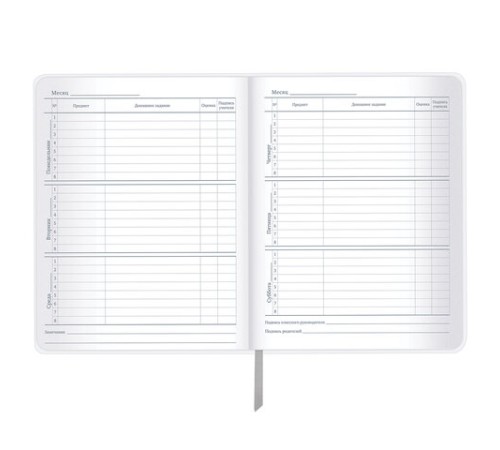 Дневник 1-11 класс 48 л., кожзам (гибкая), печать, фольга, BRAUBERG, 