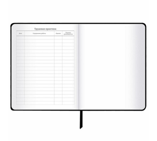 Дневник 1-11 класс 48 л., кожзам (гибкая), печать, фольга, BRAUBERG, 